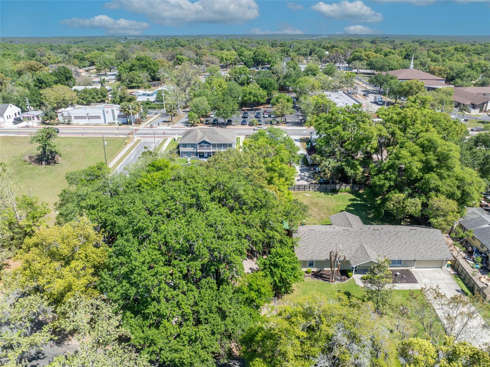 MOUNT DORA ALTA VISTA - Residential