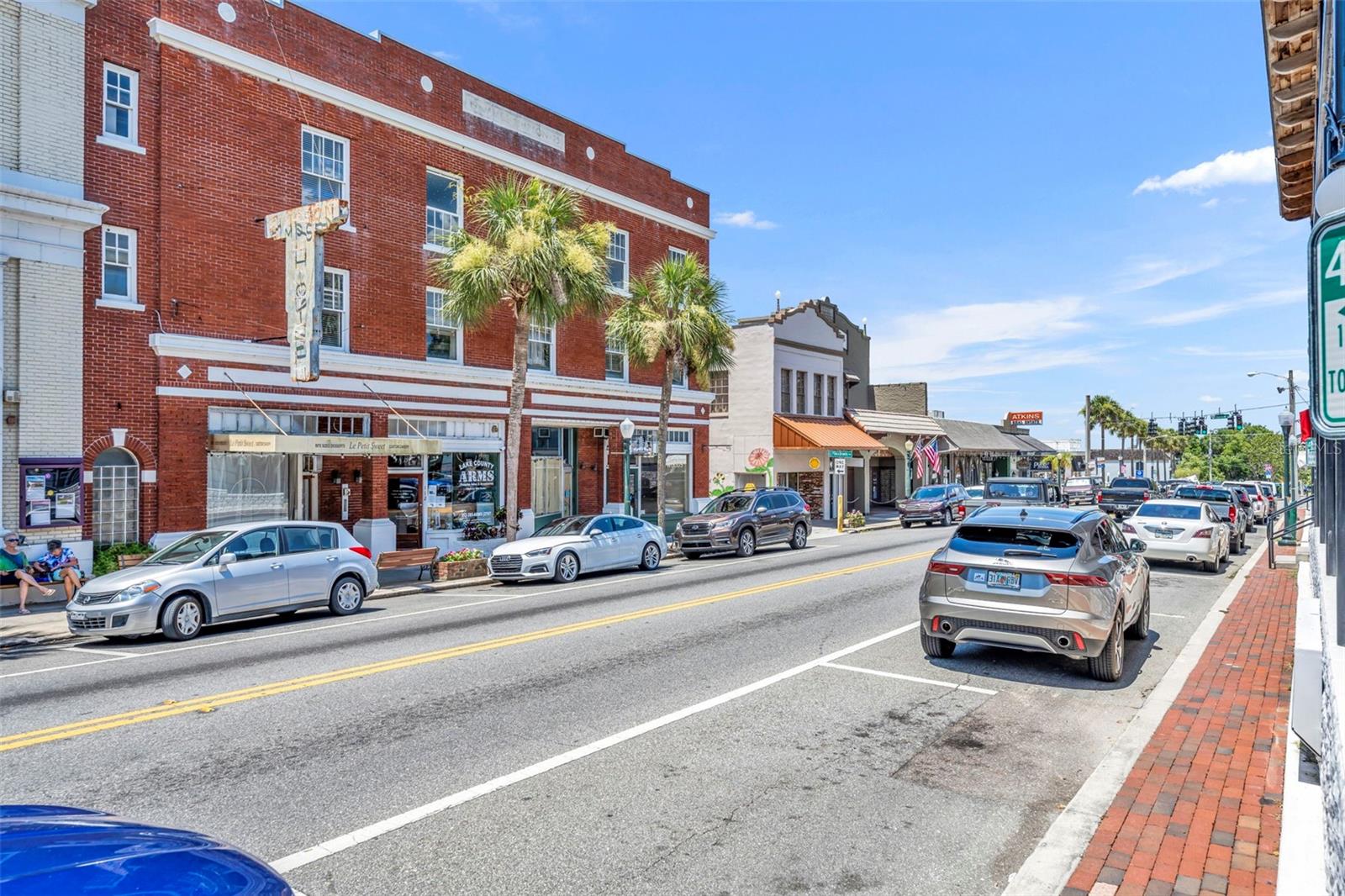 MOUNT DORA ALTA VISTA - Residential