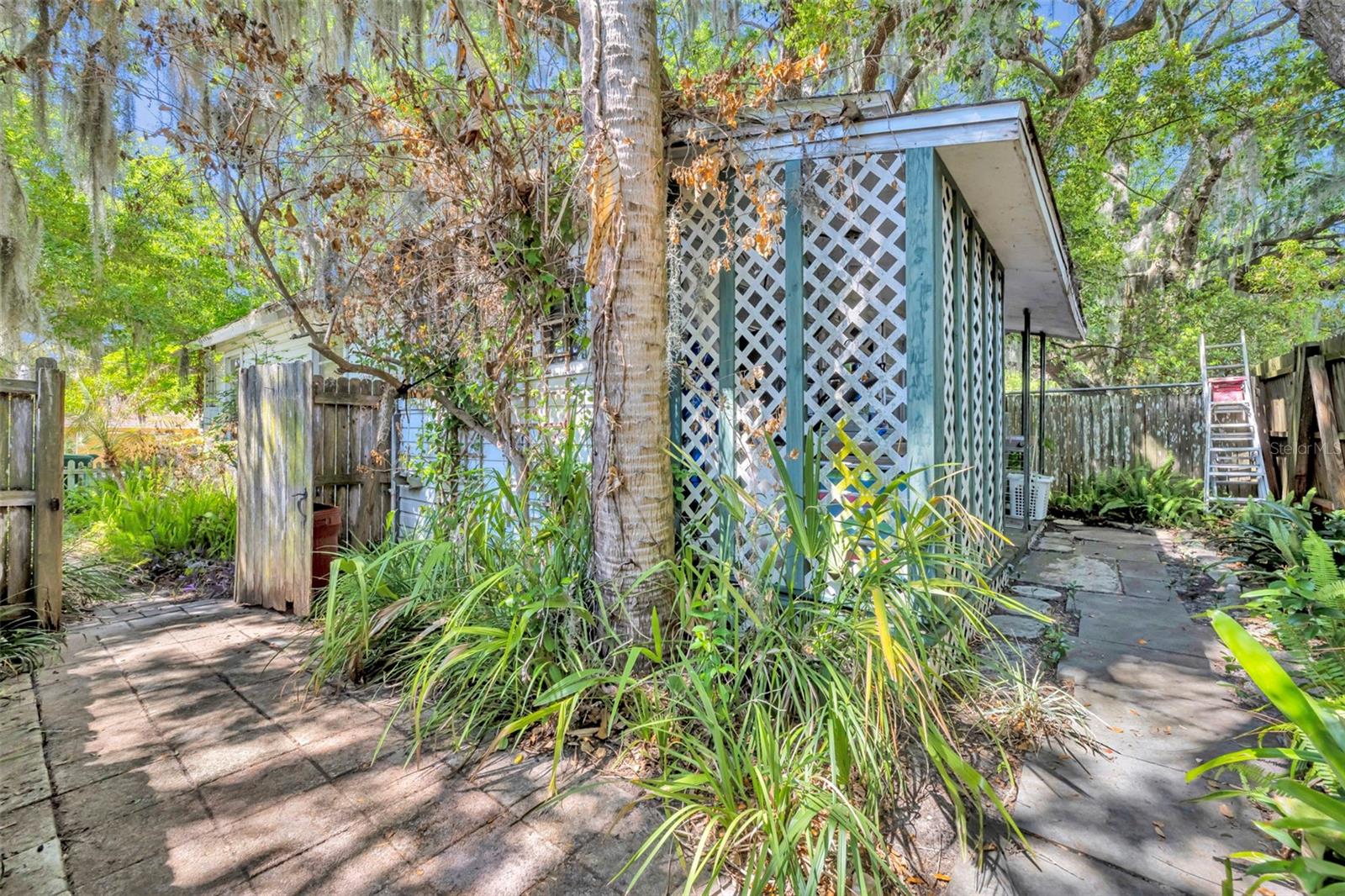 MOUNT DORA ALTA VISTA - Residential