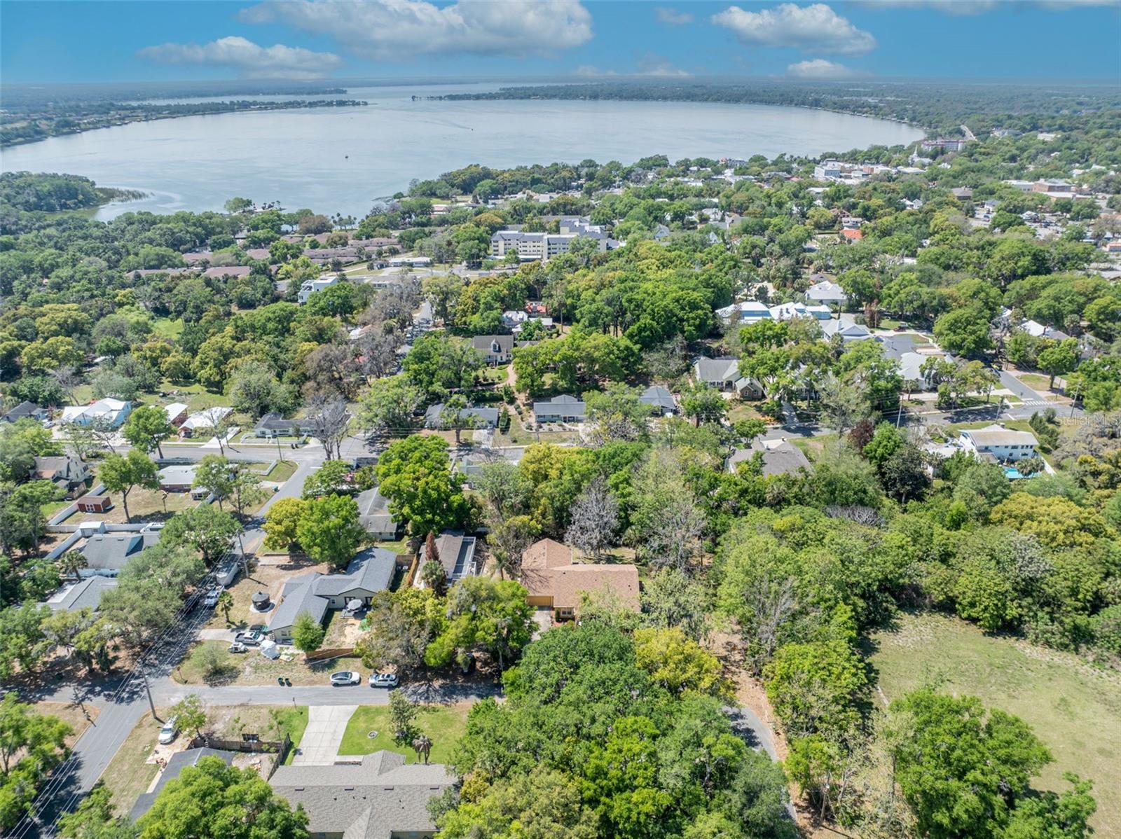 MOUNT DORA ALTA VISTA - Residential