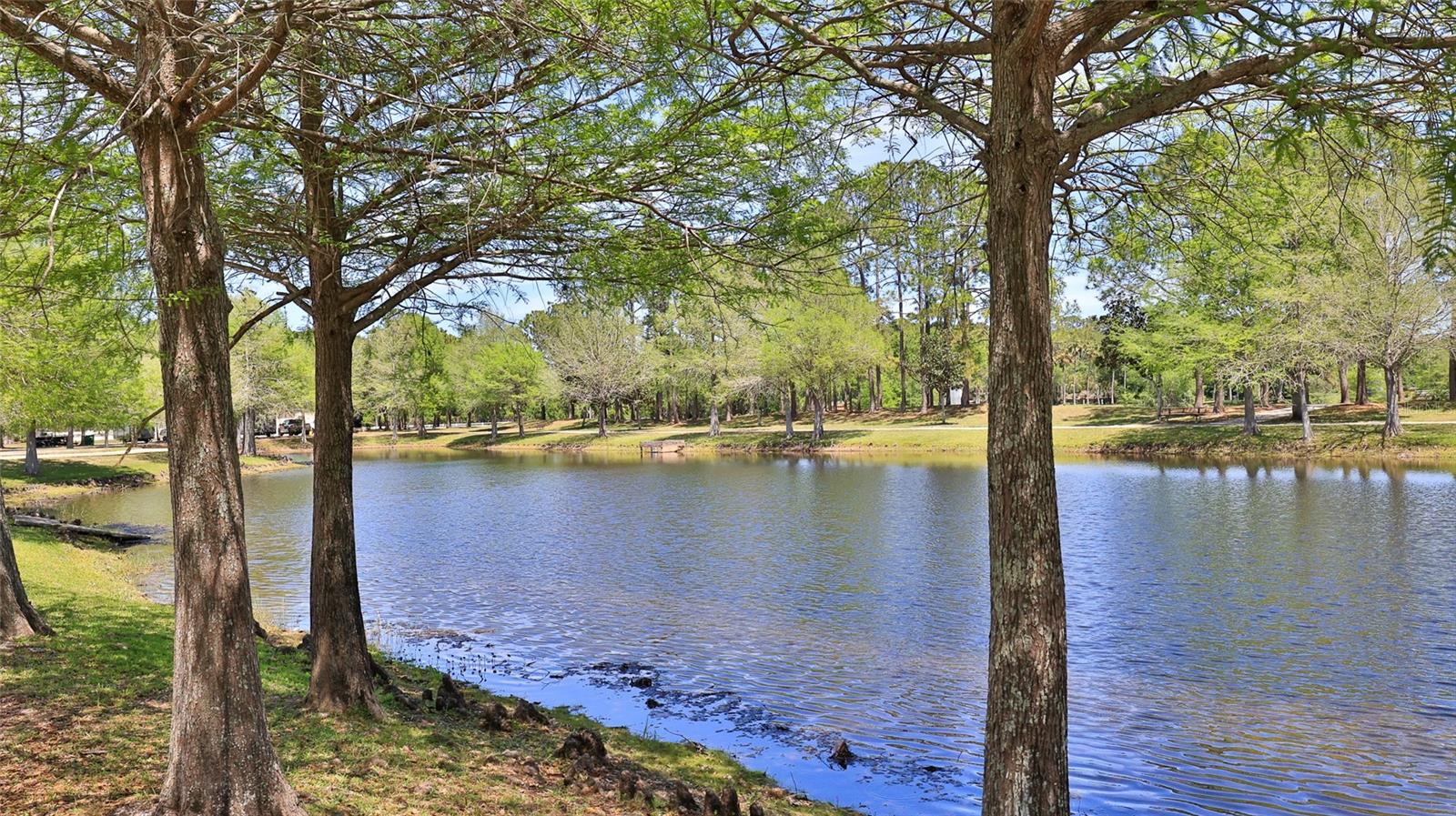 SABAL CREEK PUD PH 01 - Residential