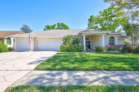 627 BELTED KINGFISHER DRIVE N PALM HARBOR FL 34683