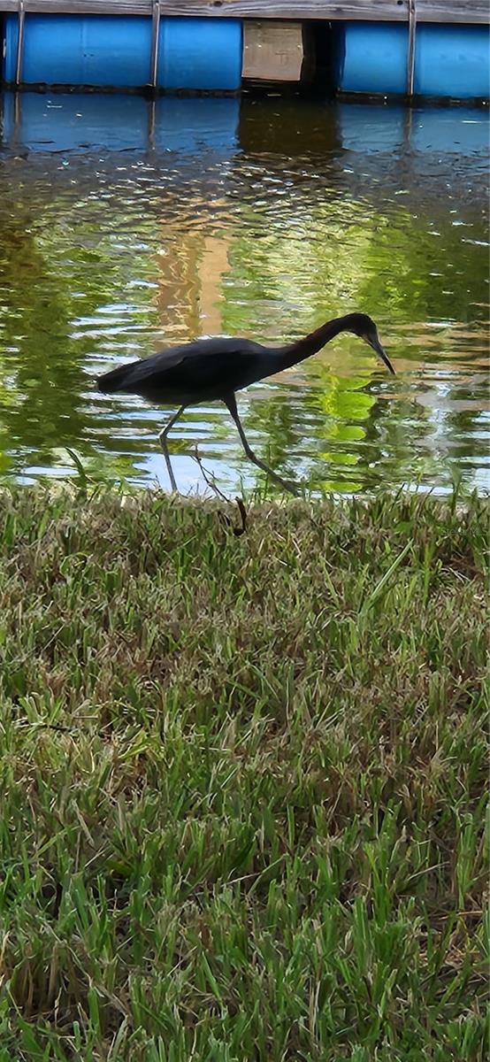 WEST PORT SUB - Residential Lease