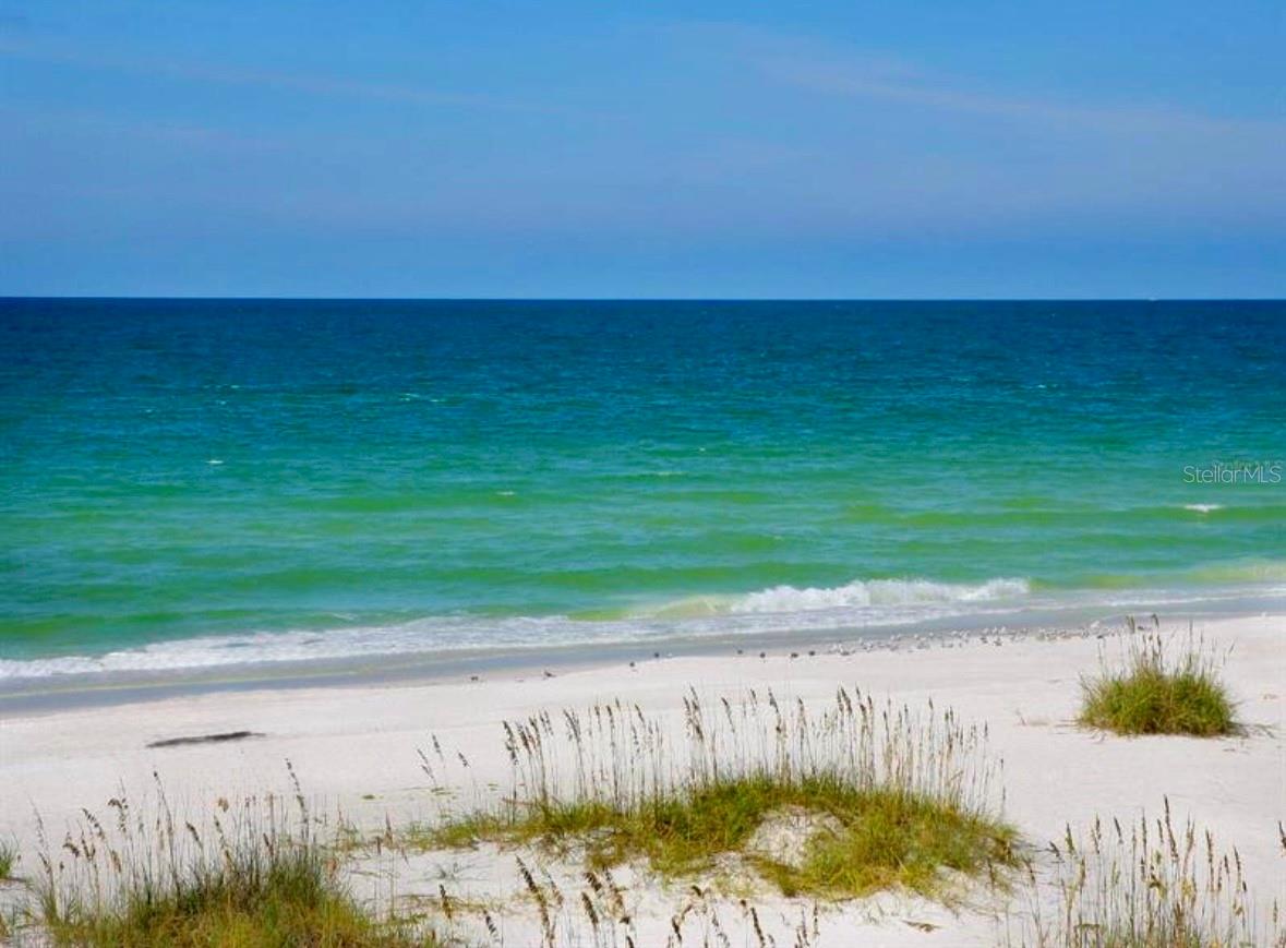 PALMA SOLA TRACE - Residential