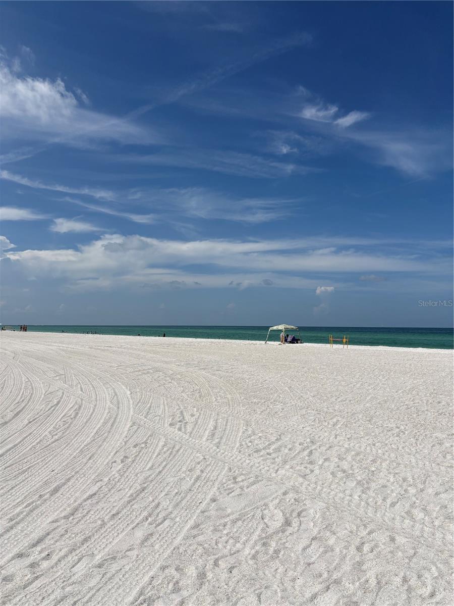 PALMA SOLA TRACE - Residential