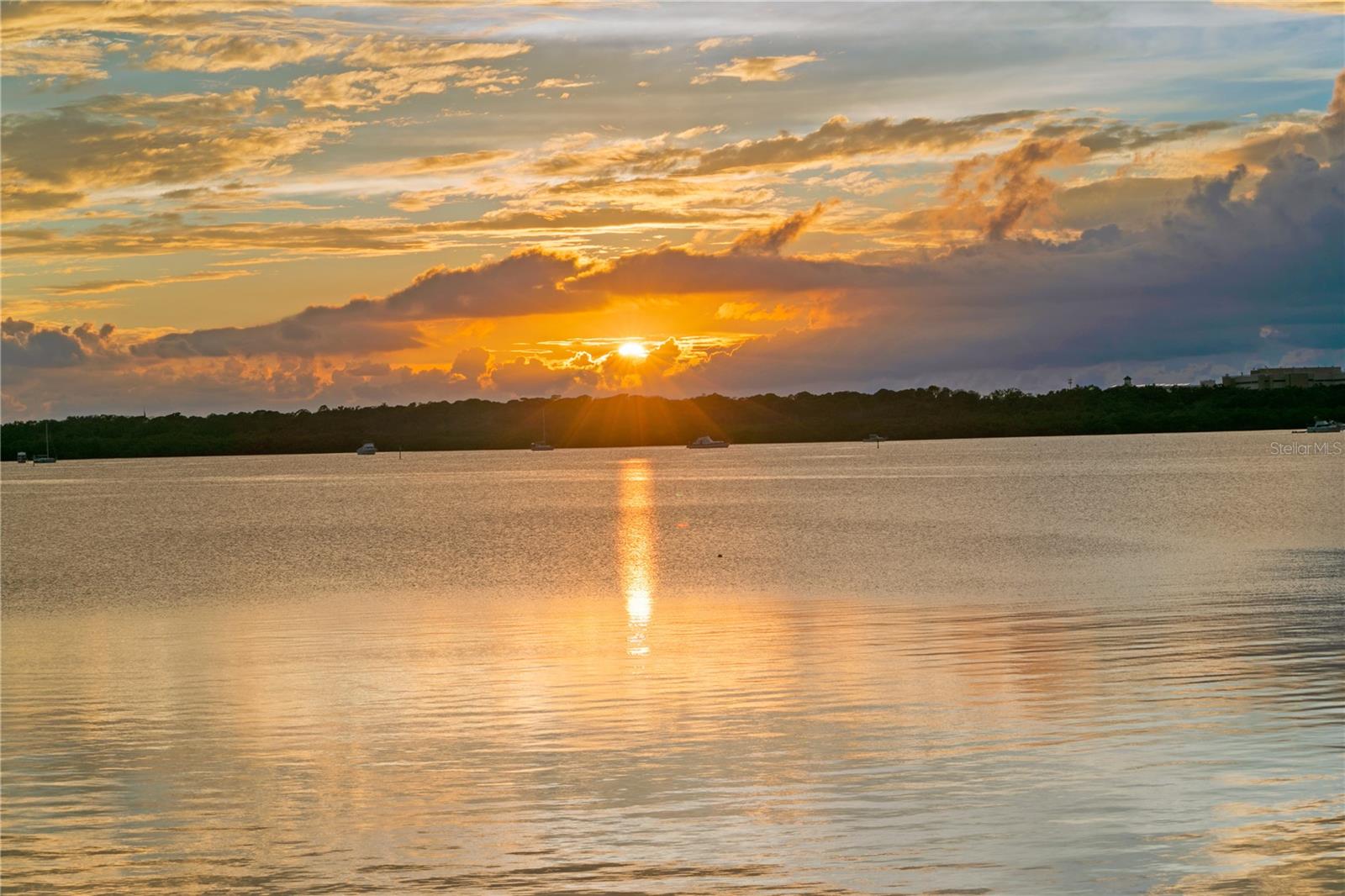 COLONIAL LANE JUNGLE ADD PT REP - Residential