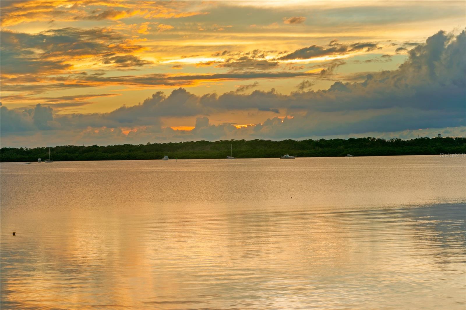 COLONIAL LANE JUNGLE ADD PT REP - Residential