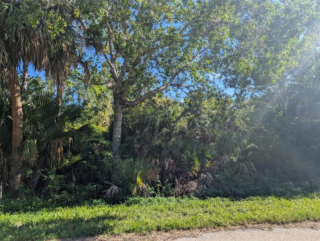 Photo of 16506 Mclaury Avenue, Port Charlotte, FL 33954 (MLS # D6142756)
