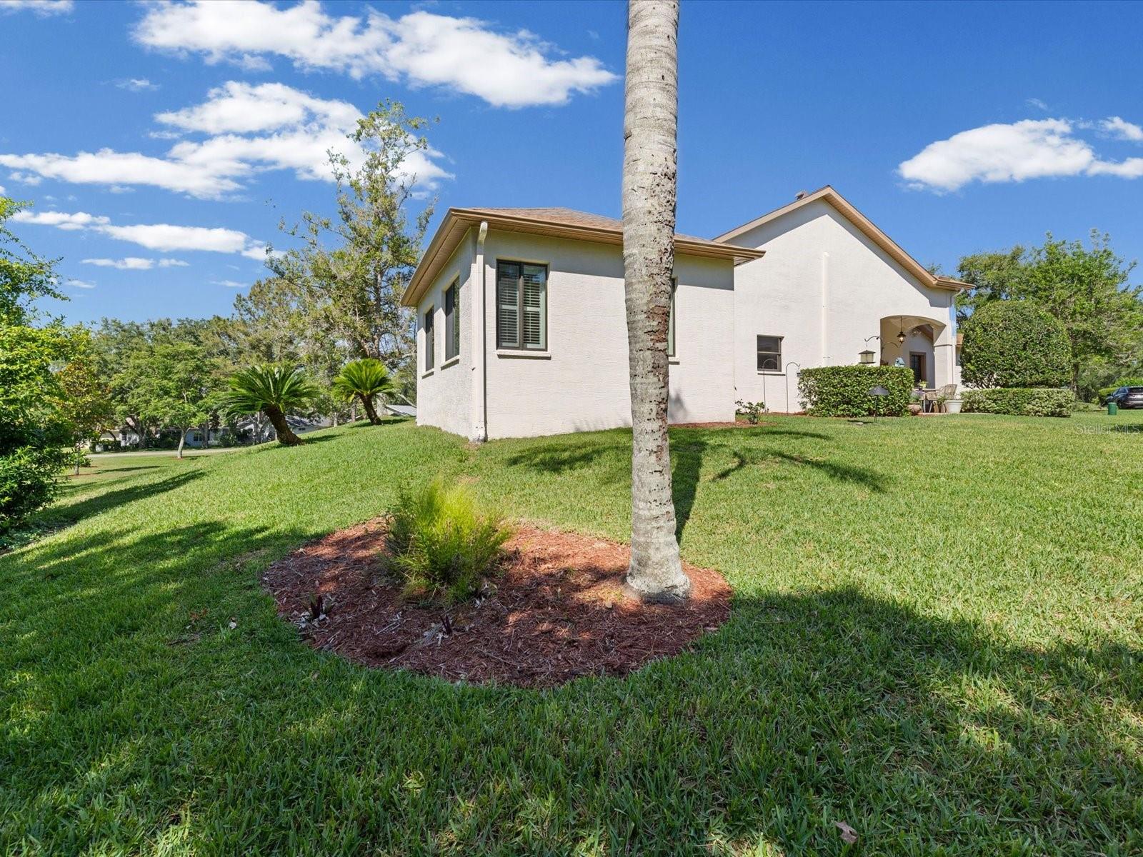 TIMBER PINES - Residential
