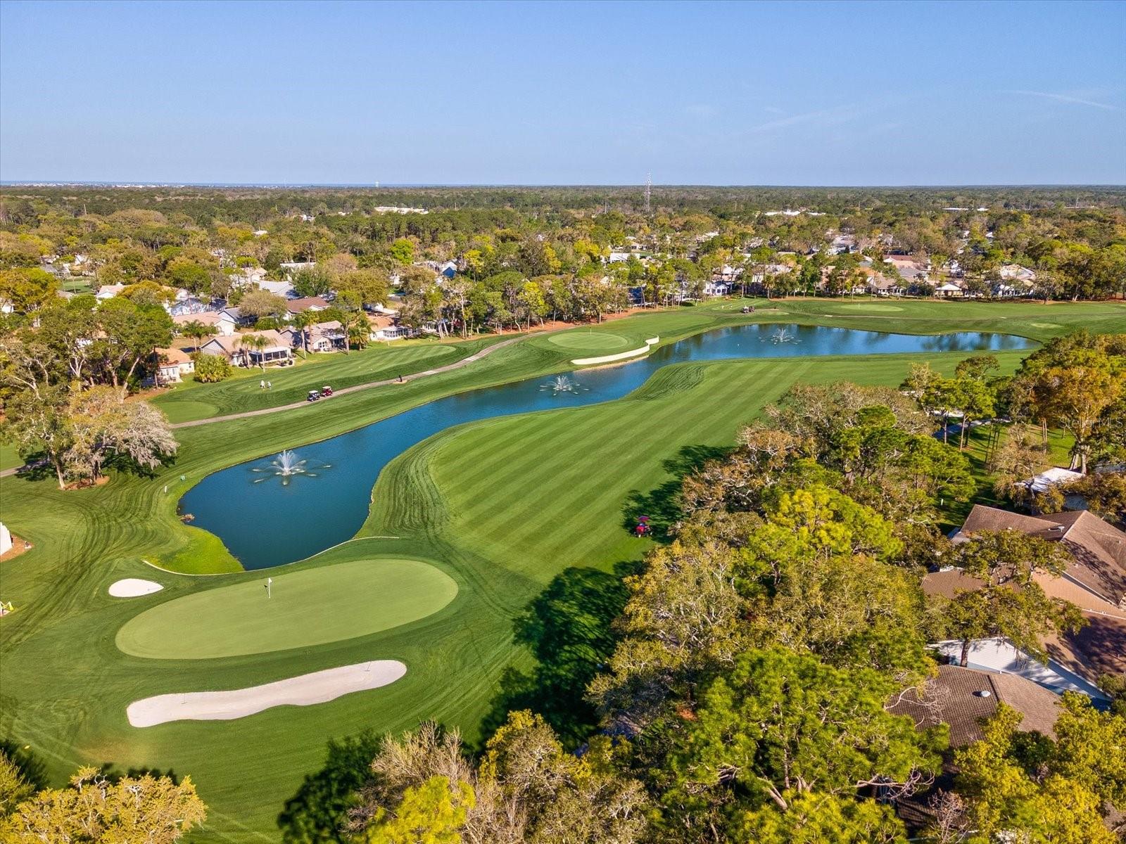 TIMBER PINES - Residential