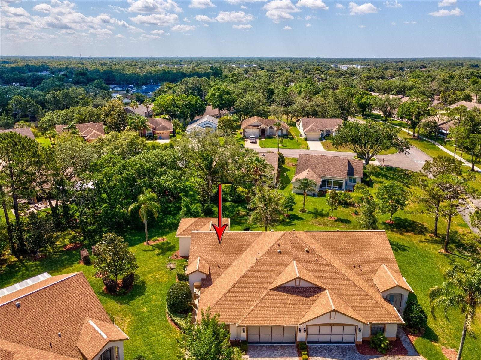 TIMBER PINES - Residential