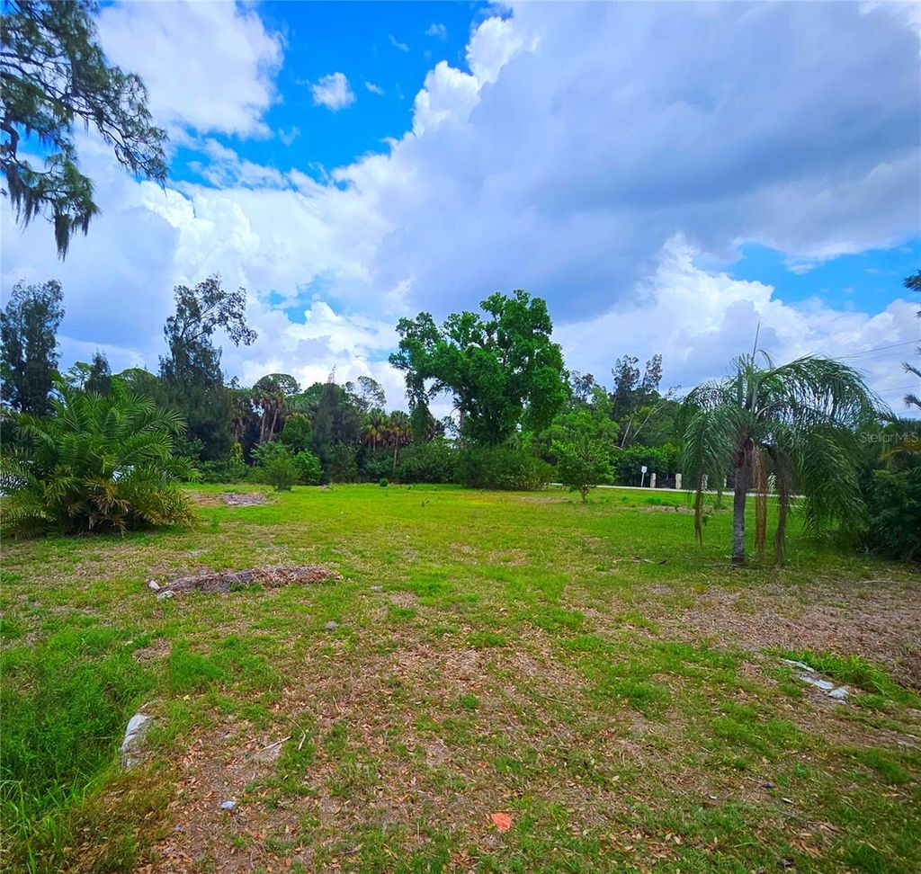 Photo of 919 College Avenue W, Ruskin, FL 33570 (MLS # TB8494398)