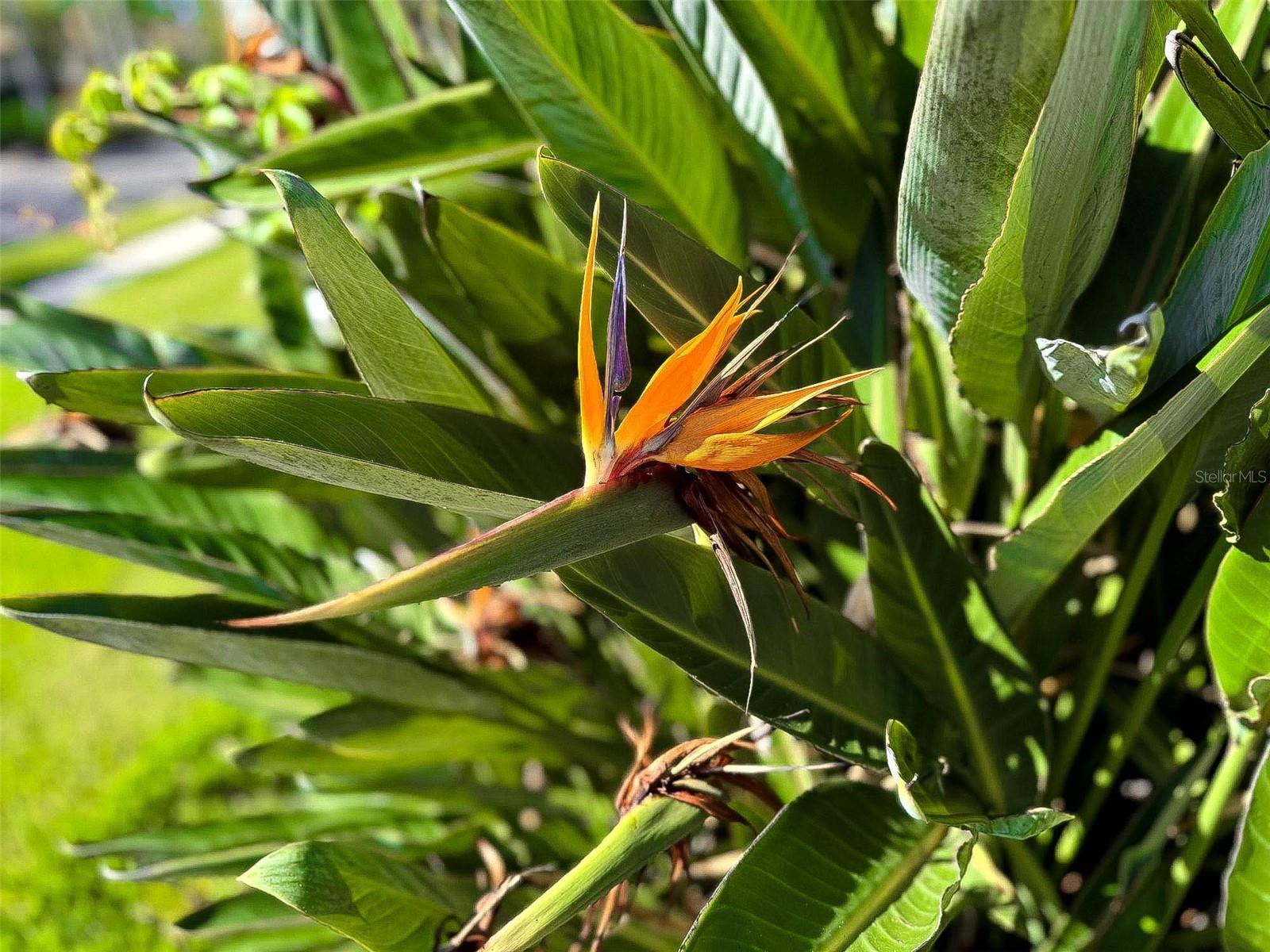 EDGEWATER VILLAGE SP B UN 1 - Residential