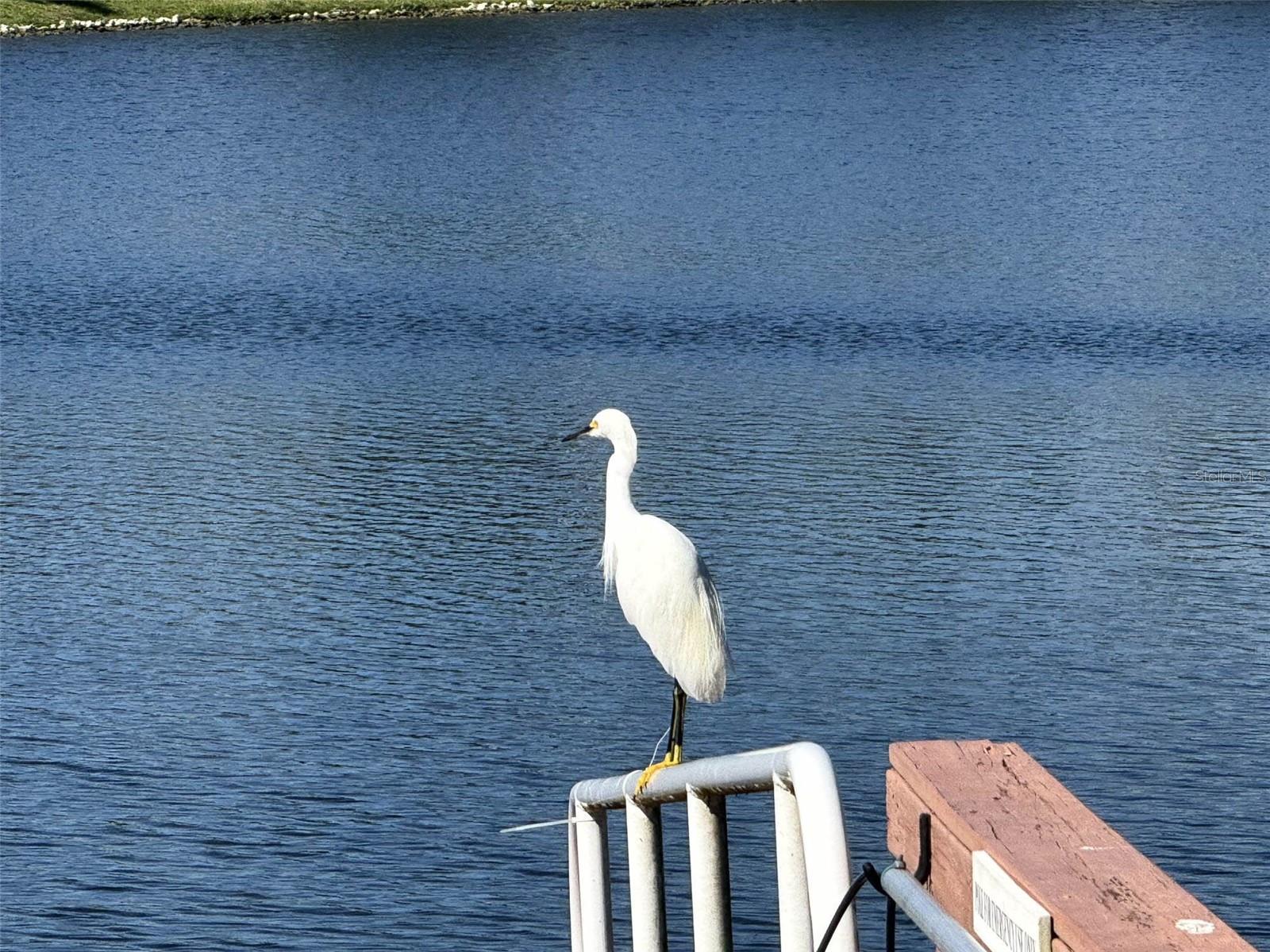 EDGEWATER VILLAGE SP B UN 1 - Residential