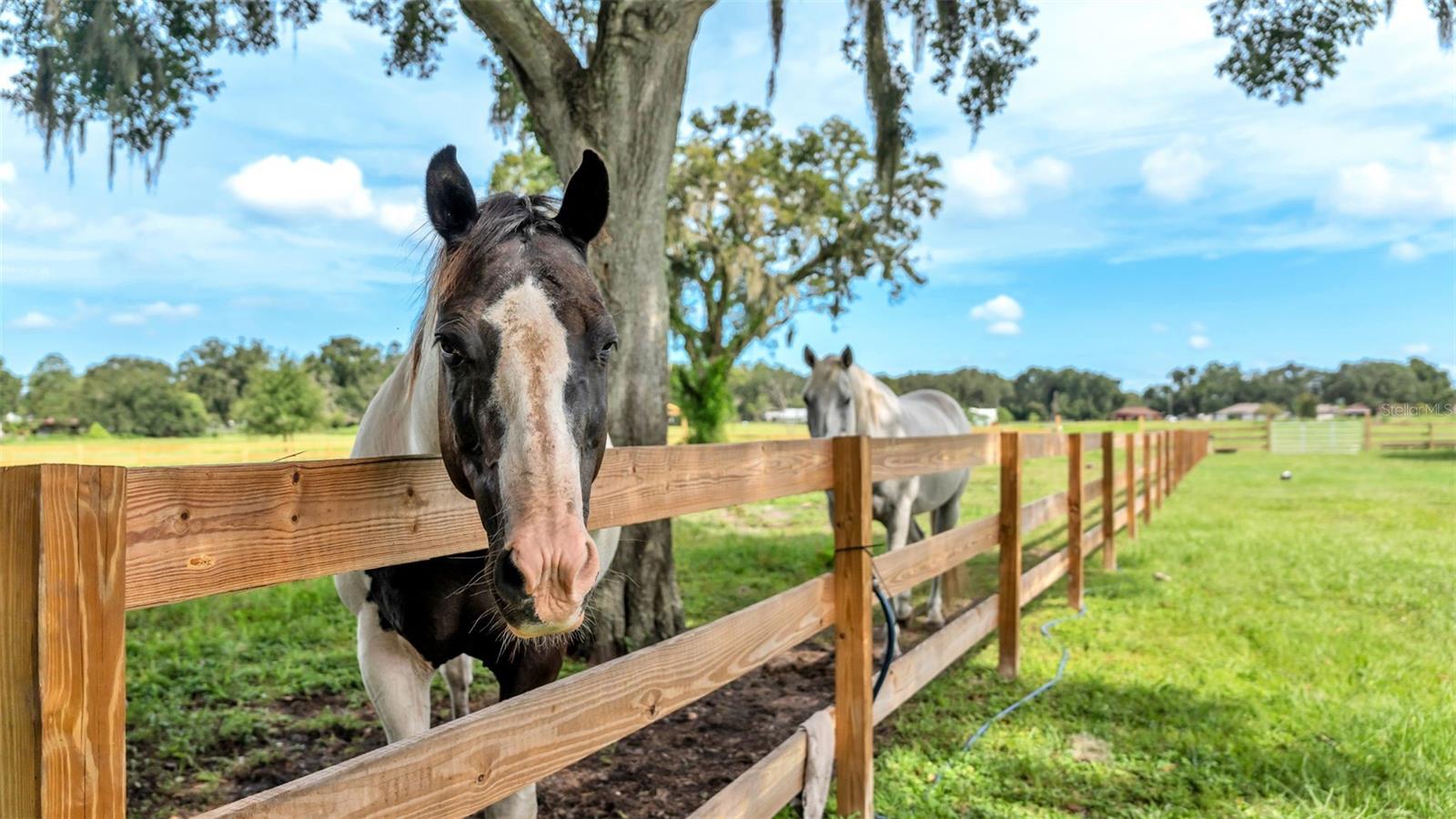 NOT IN SUBDIVISION - Land