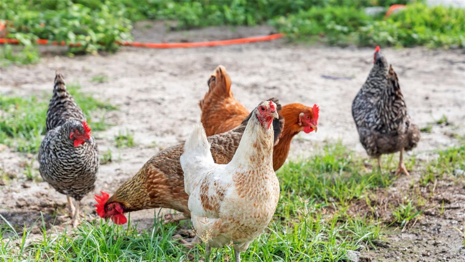 NOT IN SUBDIVISION - Land