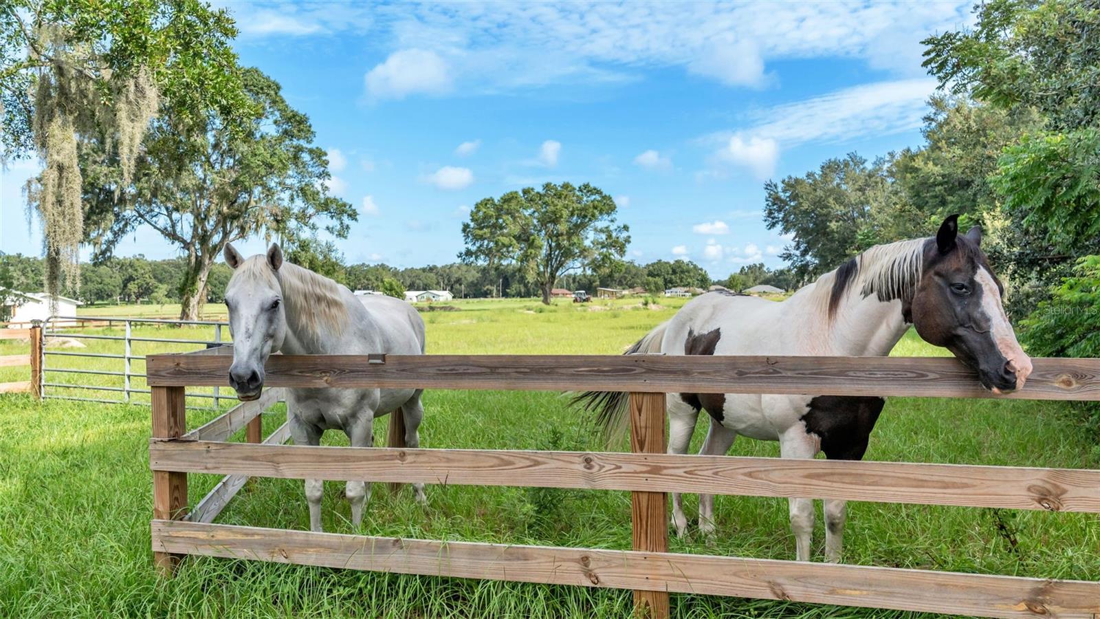 NOT IN SUBDIVISION - Land