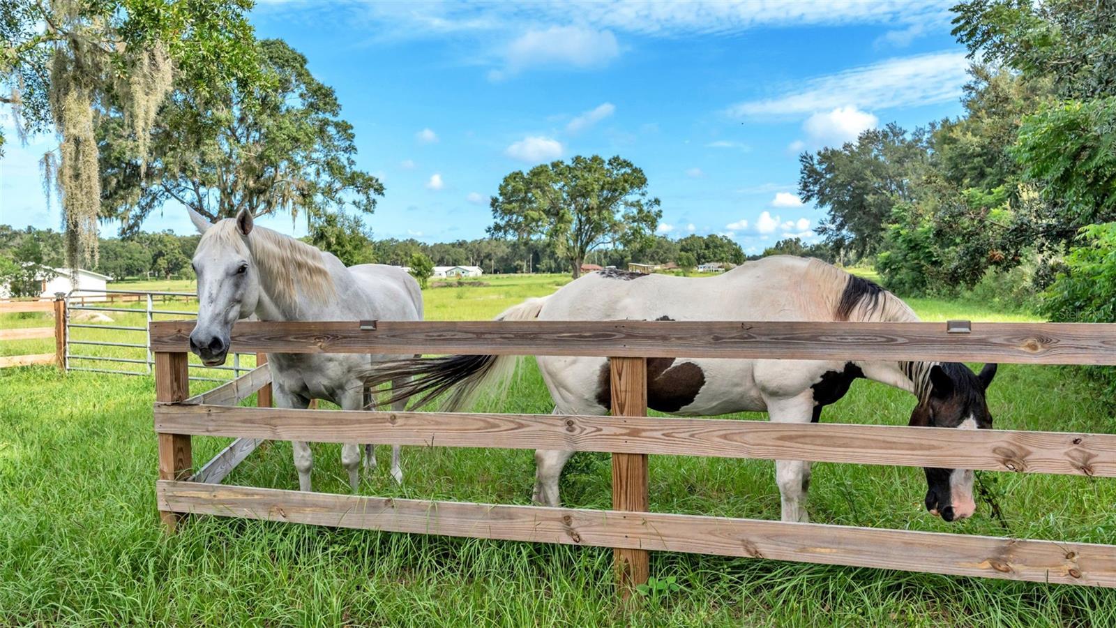 NOT IN SUBDIVISION - Land