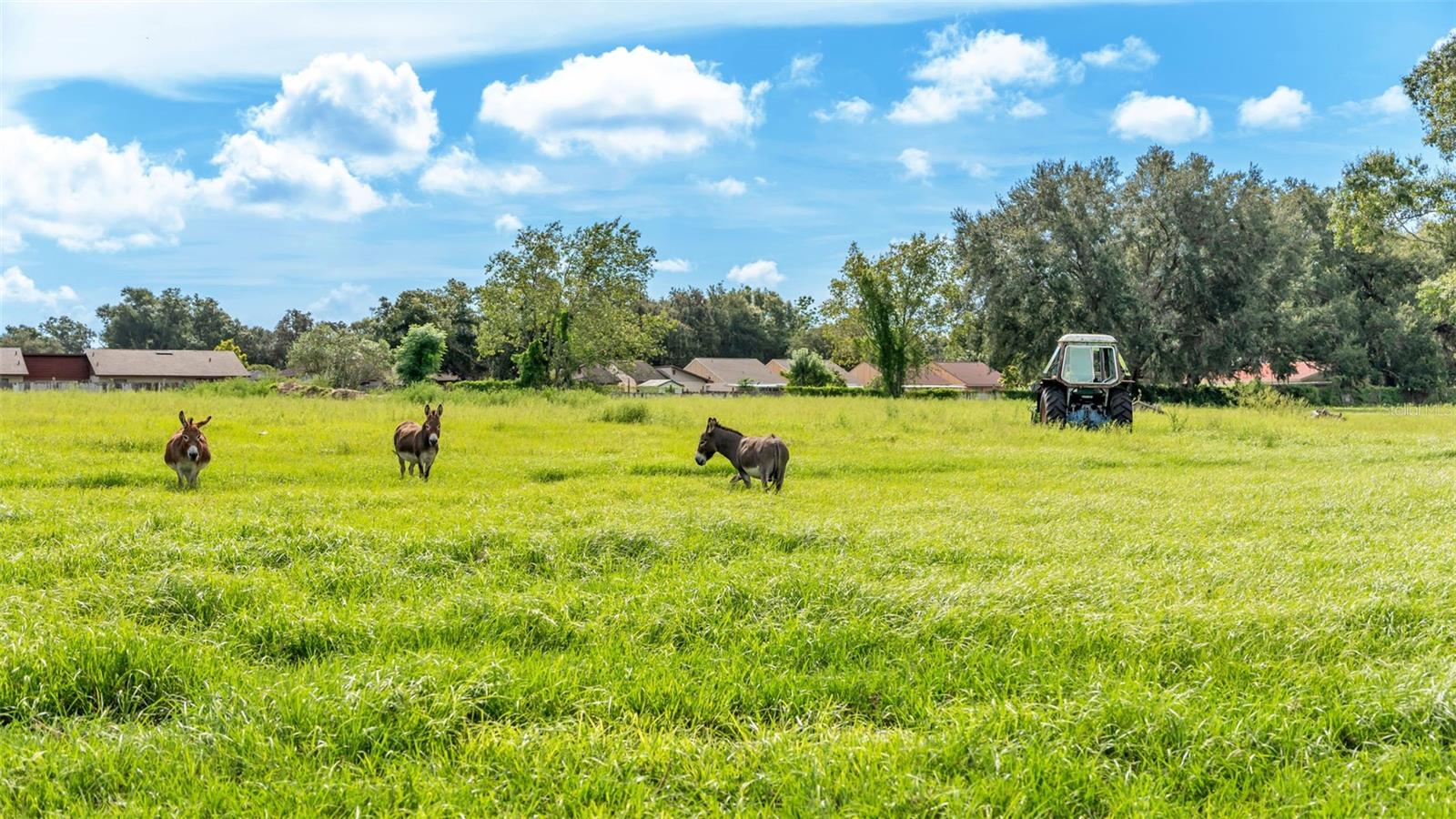 NOT IN SUBDIVISION - Land