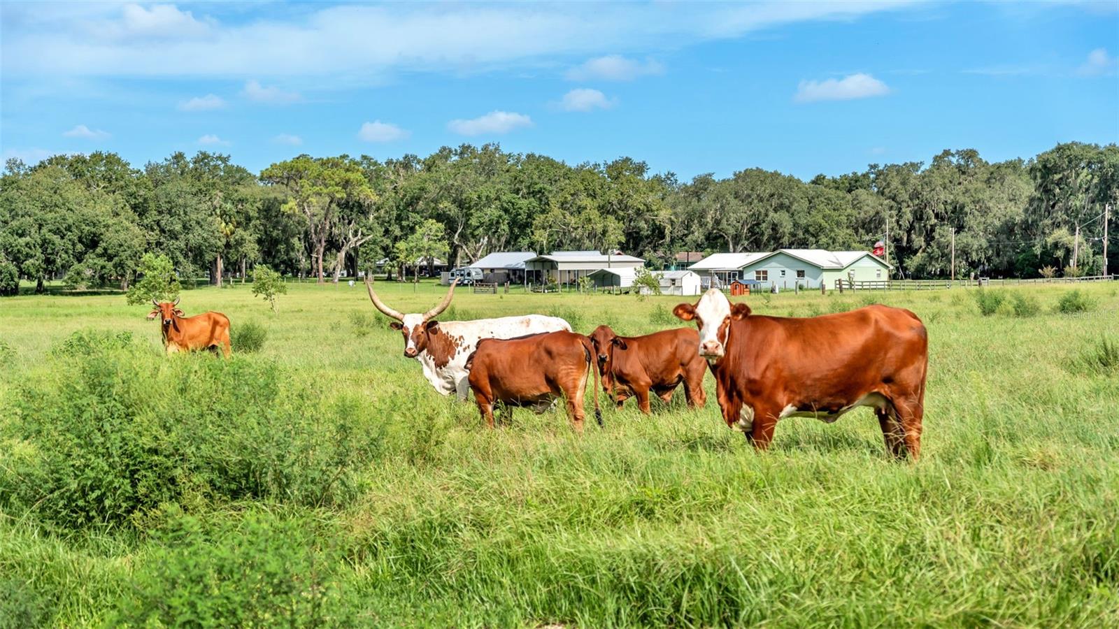 NOT IN SUBDIVISION - Land