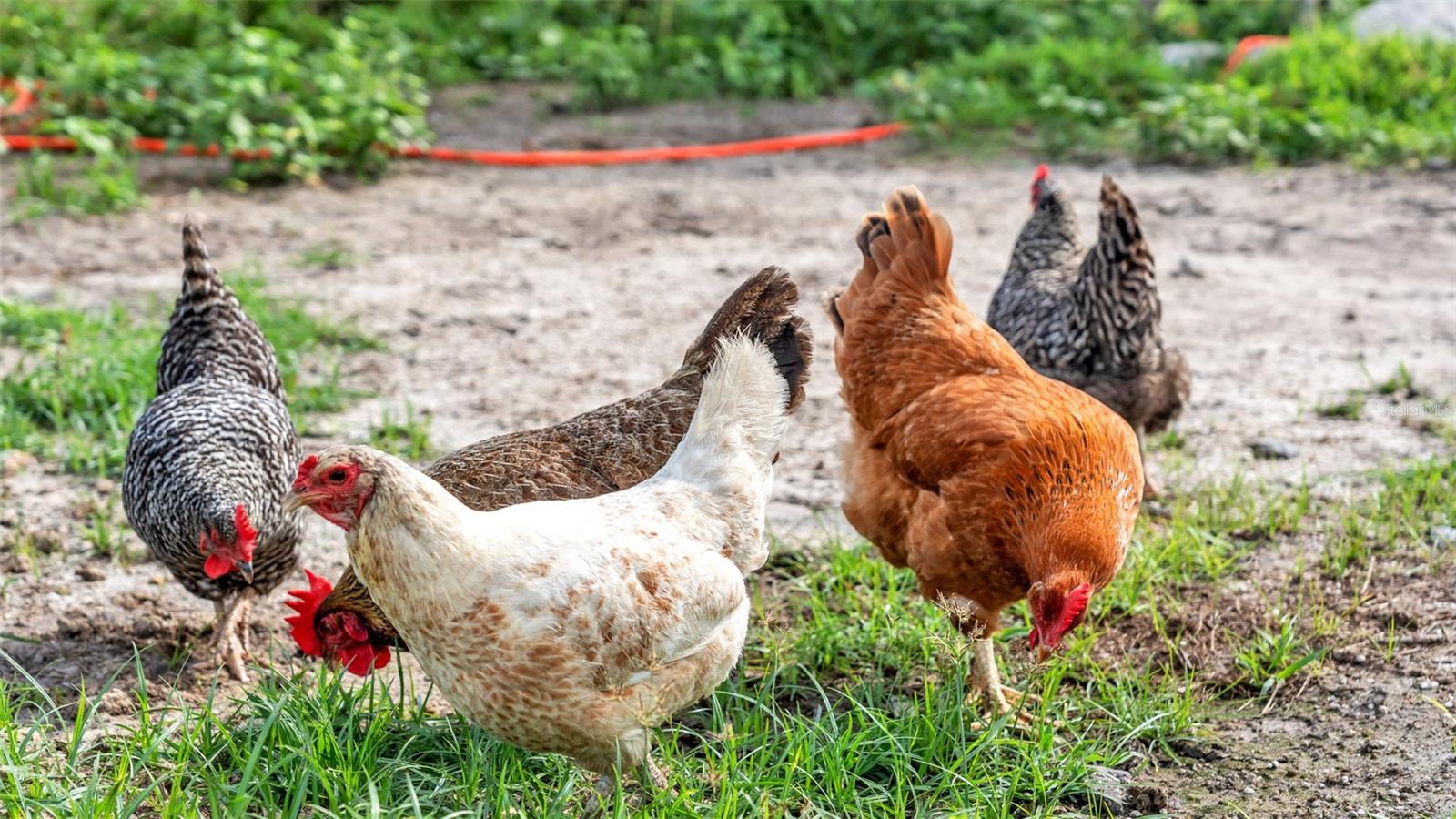 NOT IN SUBDIVISION - Land