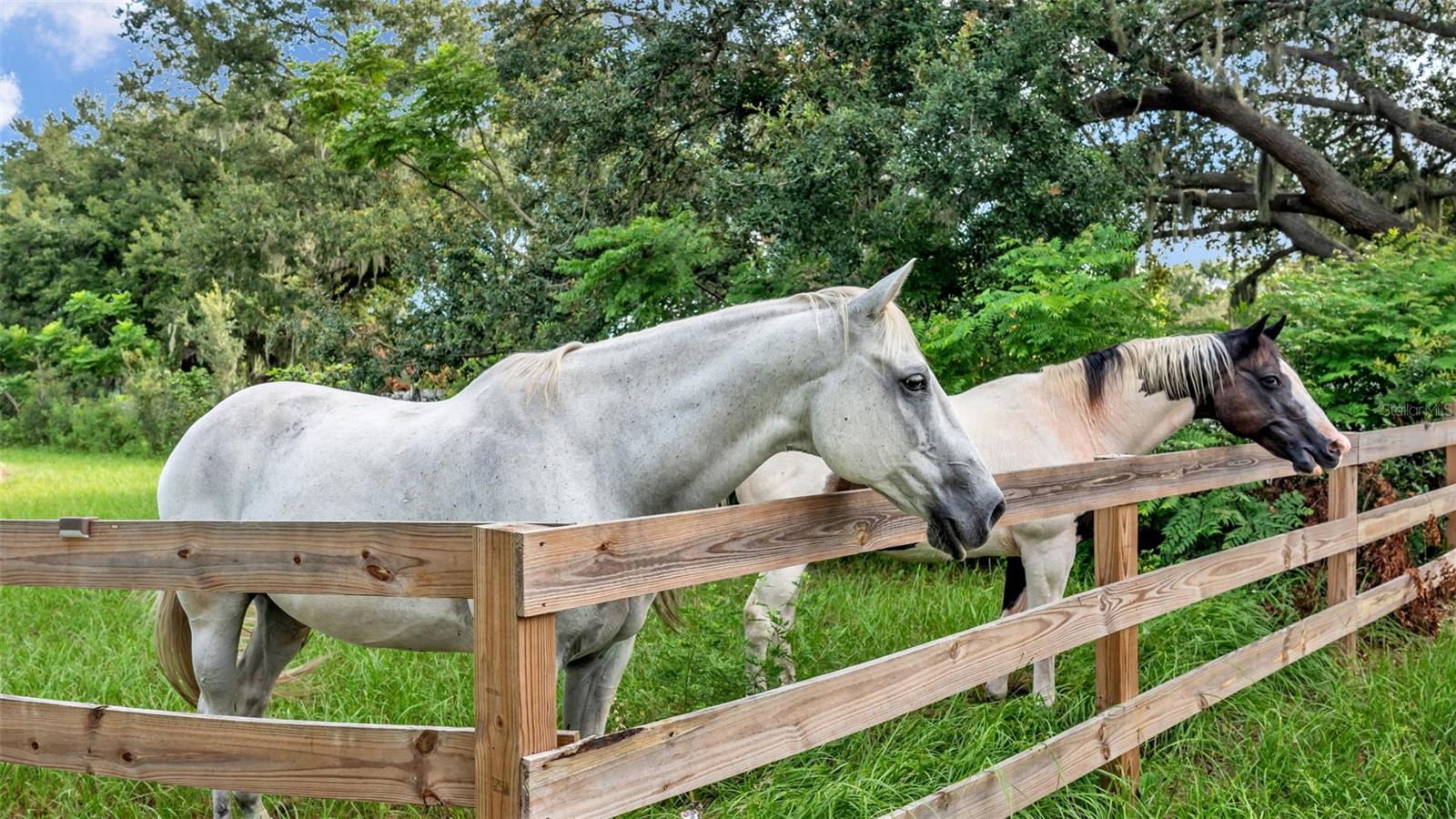 NOT IN SUBDIVISION - Land