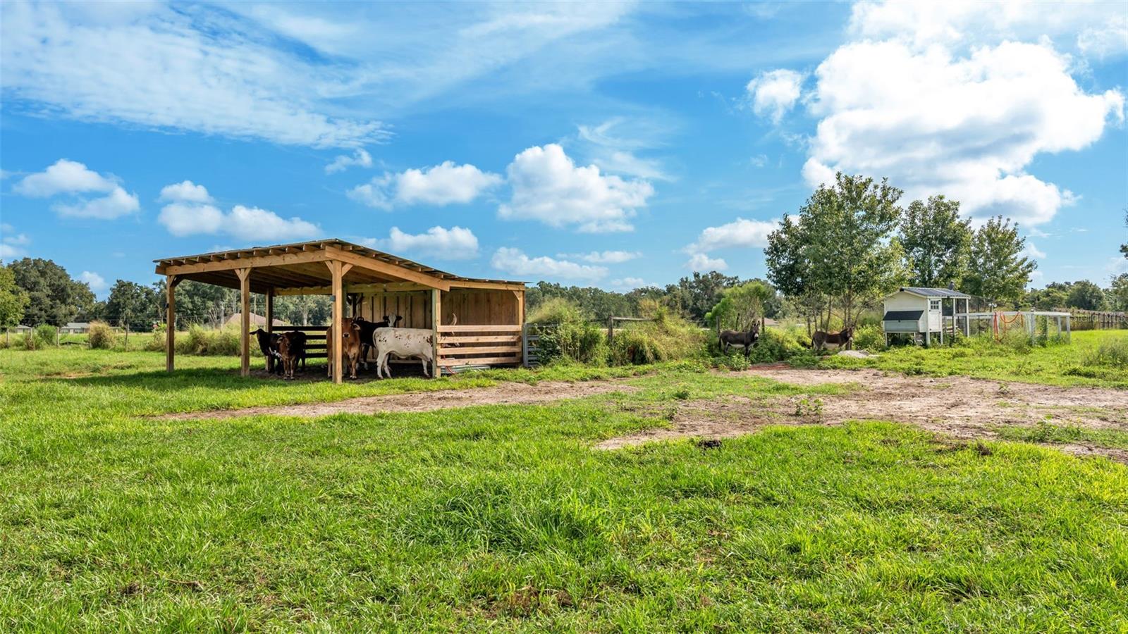 NOT IN SUBDIVISION - Land