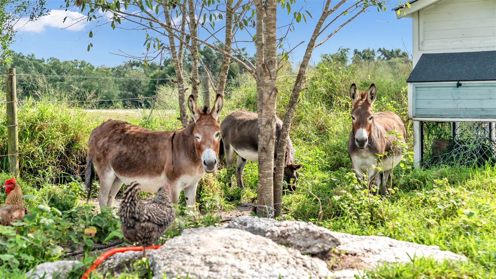 NOT IN SUBDIVISION - Land