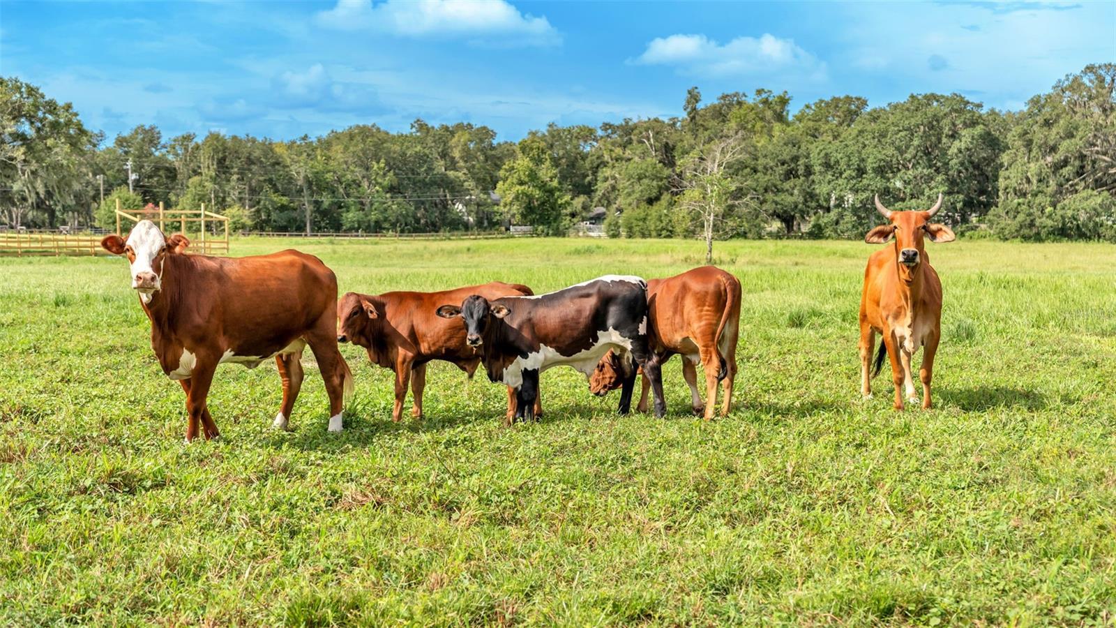 NOT IN SUBDIVISION - Land