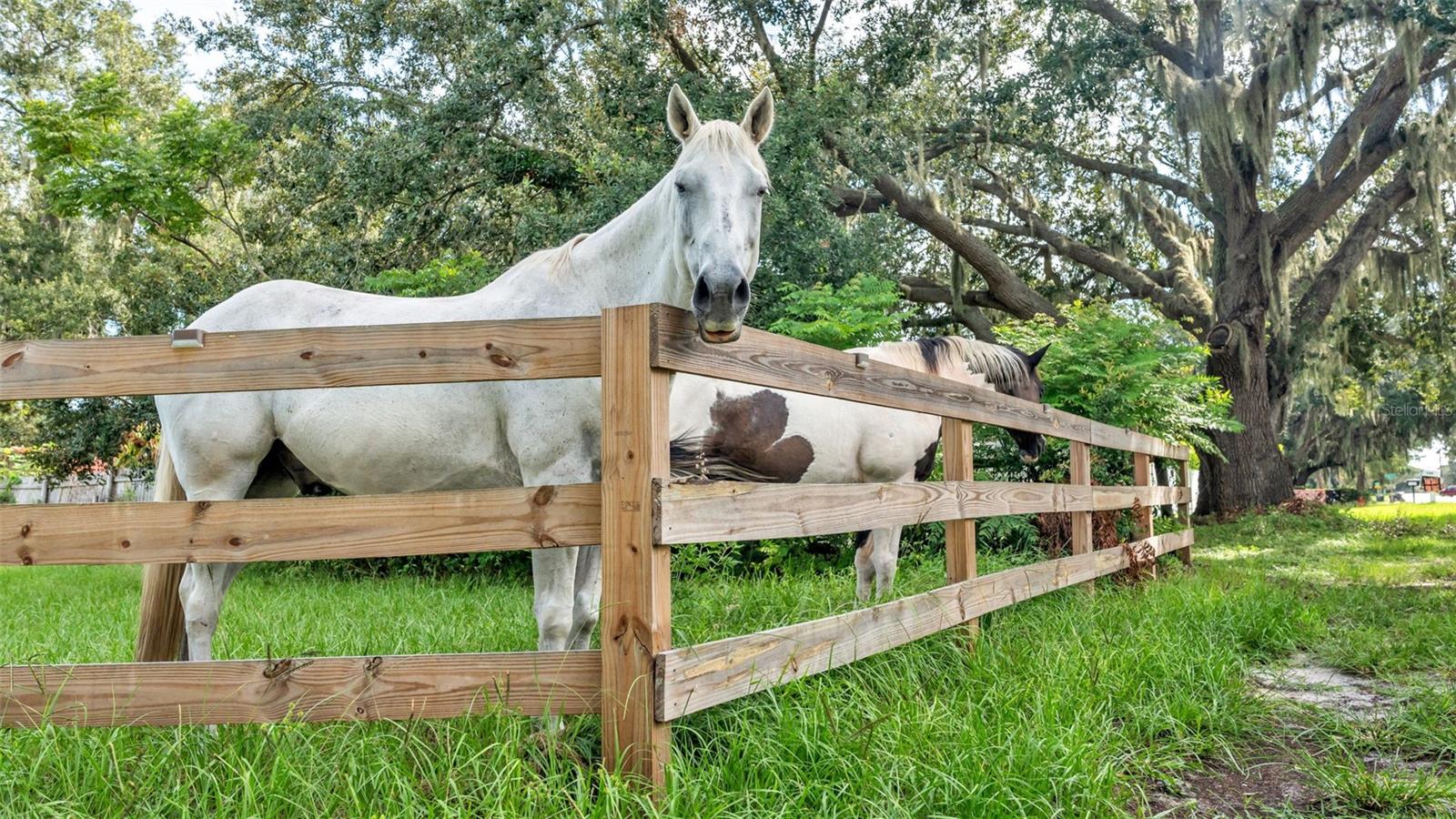 NOT IN SUBDIVISION - Land