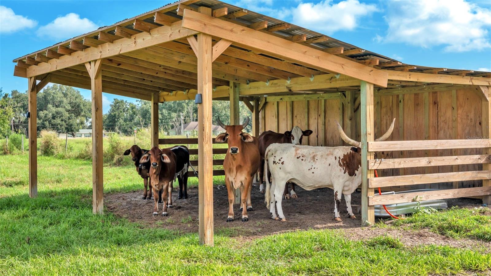 NOT IN SUBDIVISION - Land