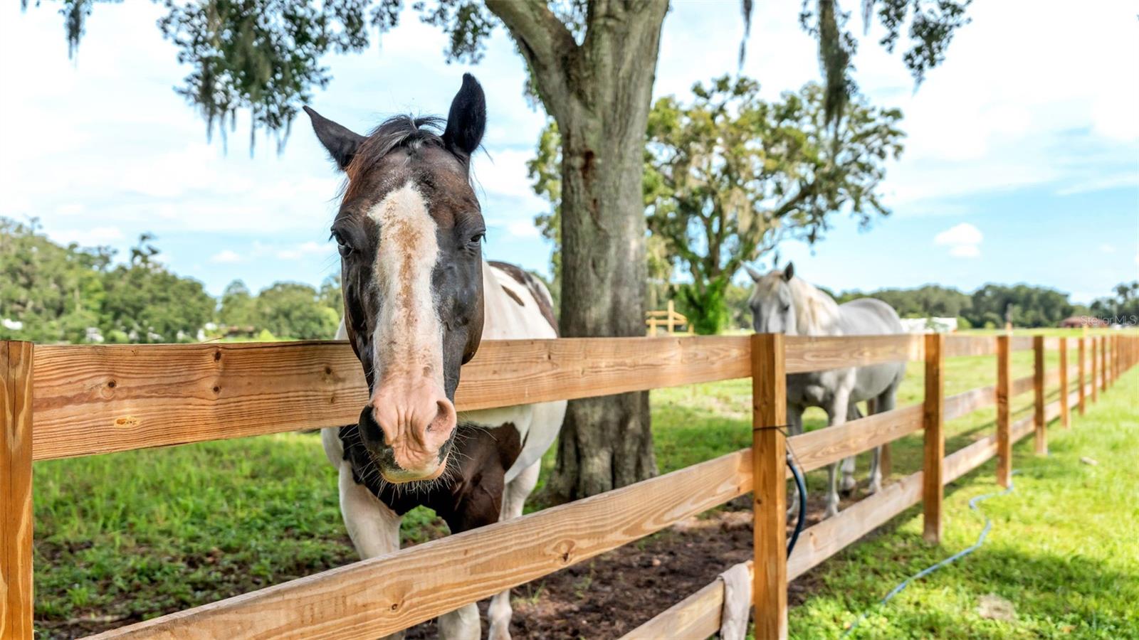 NOT IN SUBDIVISION - Land