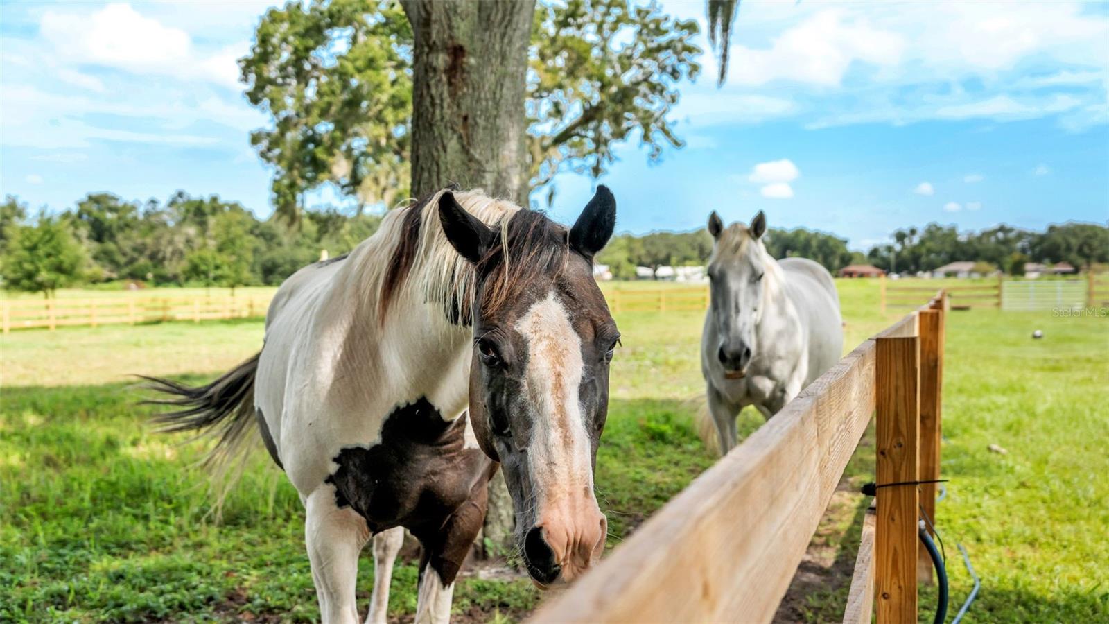 NOT IN SUBDIVISION - Land