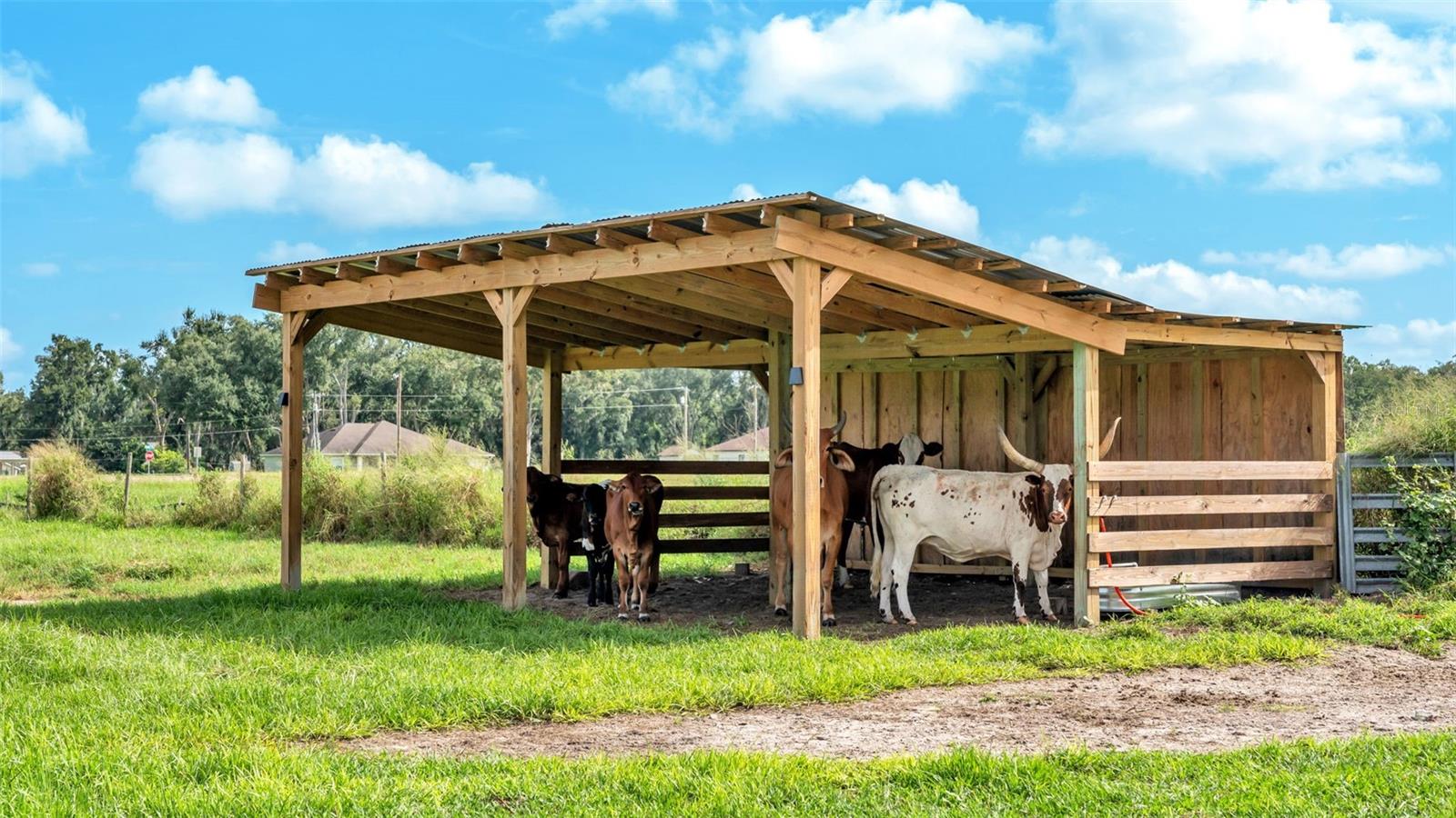 NOT IN SUBDIVISION - Land