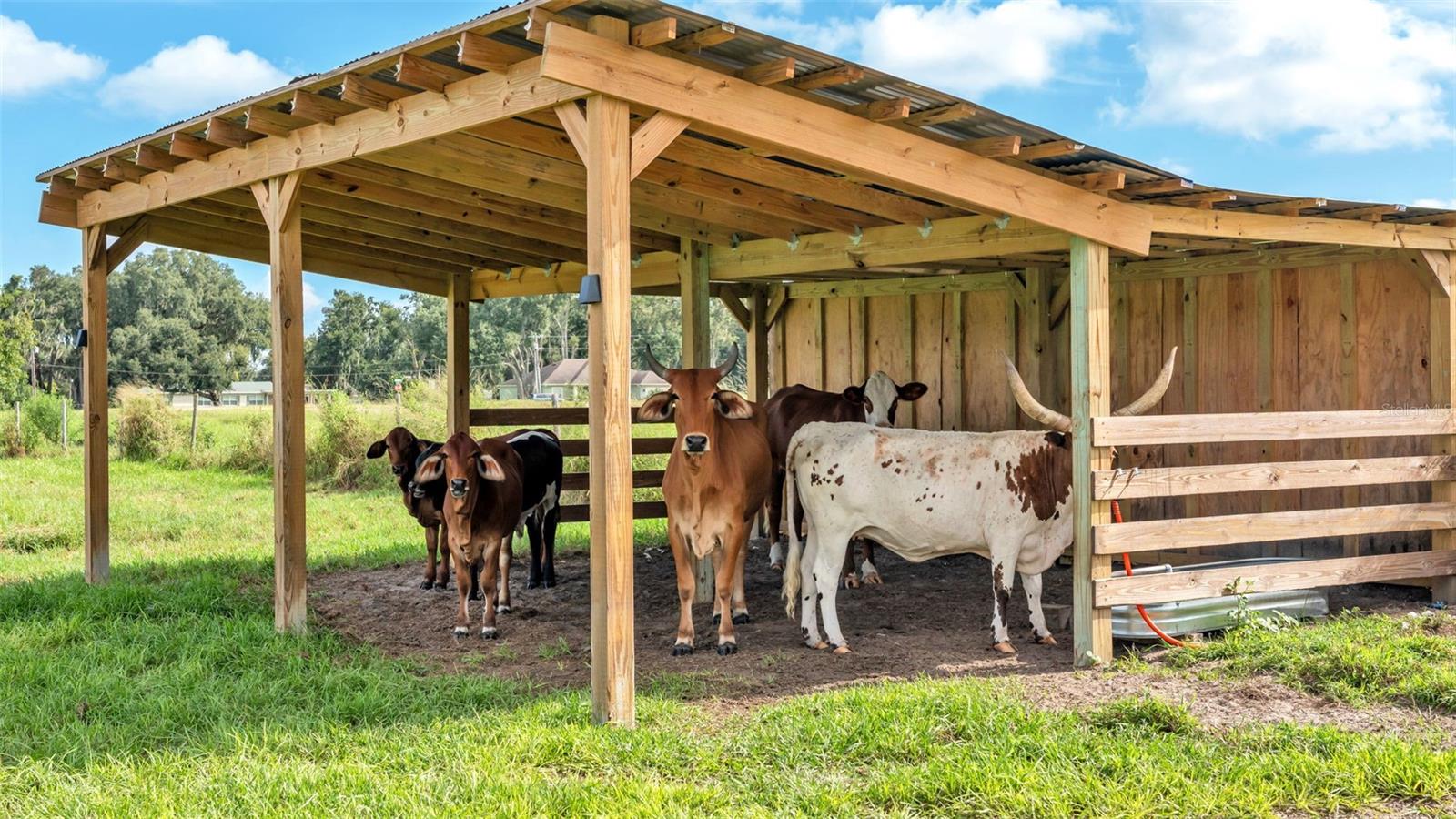 NOT IN SUBDIVISION - Land