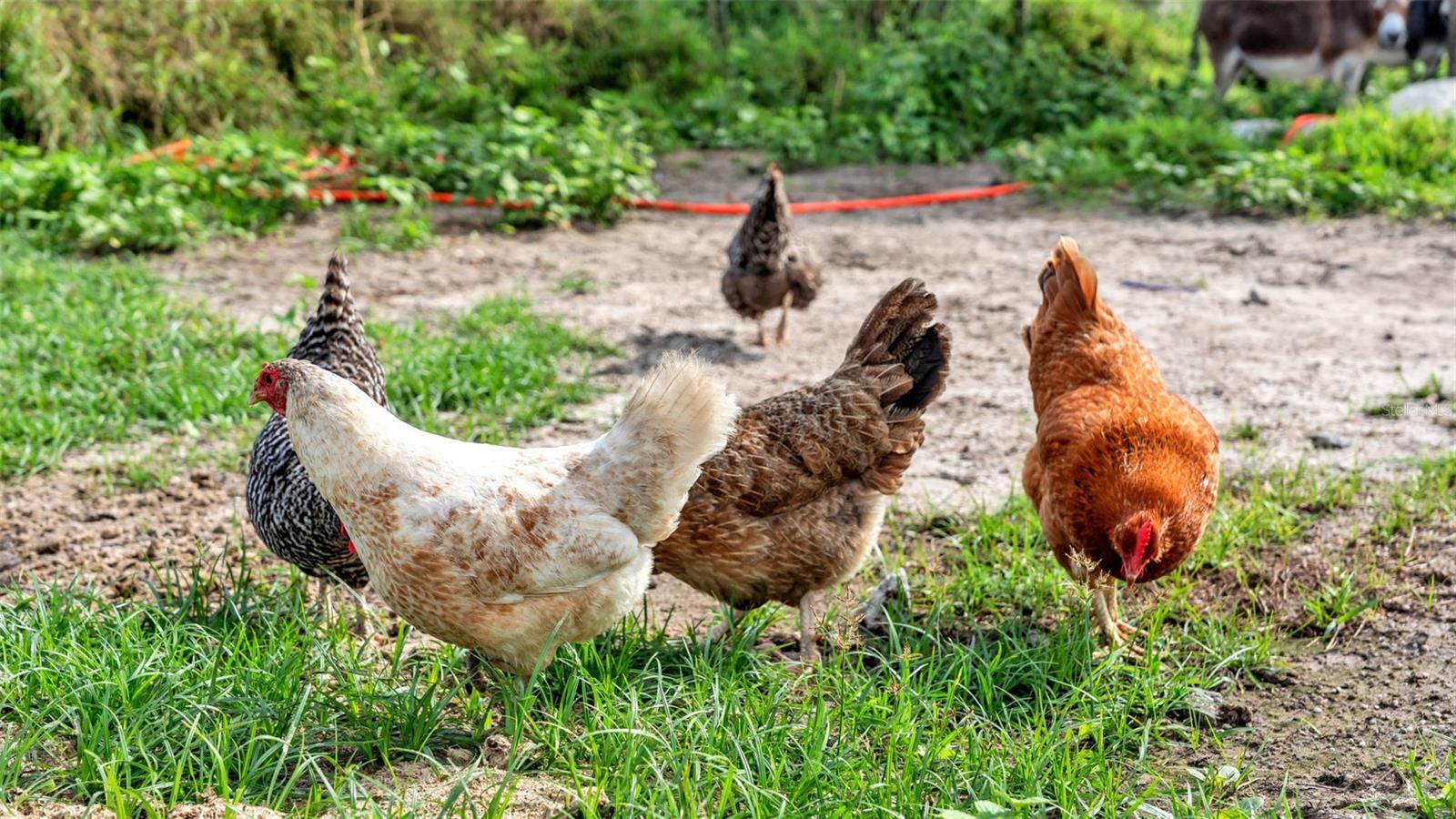 NOT IN SUBDIVISION - Land