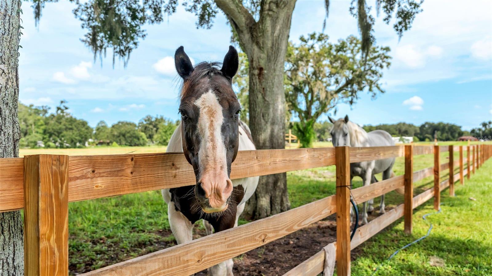 NOT IN SUBDIVISION - Land