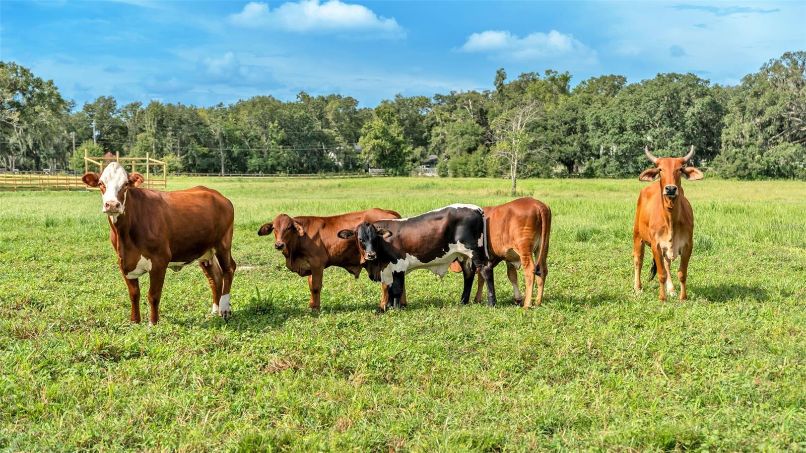 NOT IN SUBDIVISION - Land