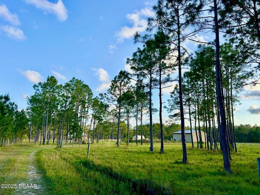 Photo of 201 Wasick Lane, Ormond Beach, FL 32174 (MLS # V4949549)