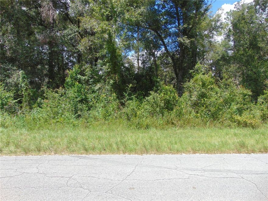 Great location not far from river. Has well, septic and power pole in place but seller does not warrant them. Previous home site.