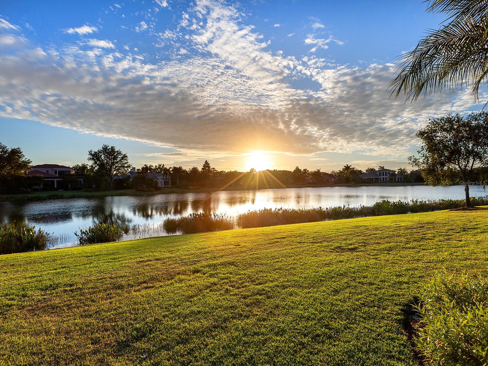 16214 BAYCROSS DRIVE