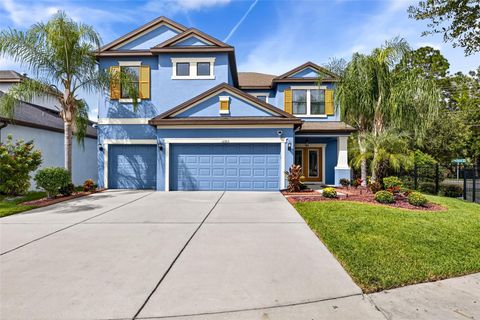 11303 LAZY HICKORY LANE TAMPA FL 33635