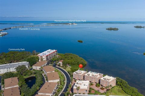 2750 RESERVE COURT 101 DUNEDIN FL 34698