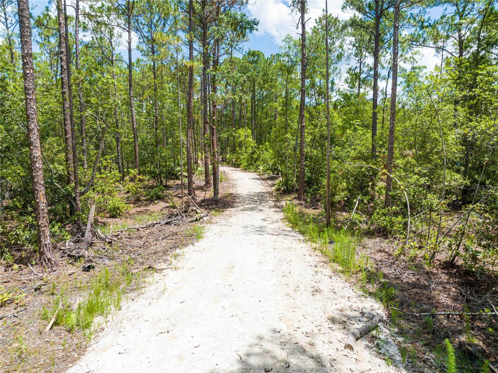 CEDAR ROAD