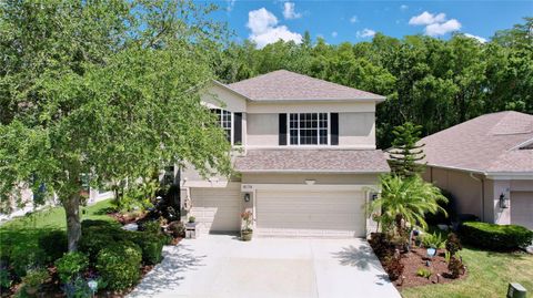 A home in PALM HARBOR