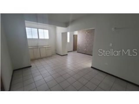 Ave. Laurel 2A3 APT 2 BAYAMON  00956