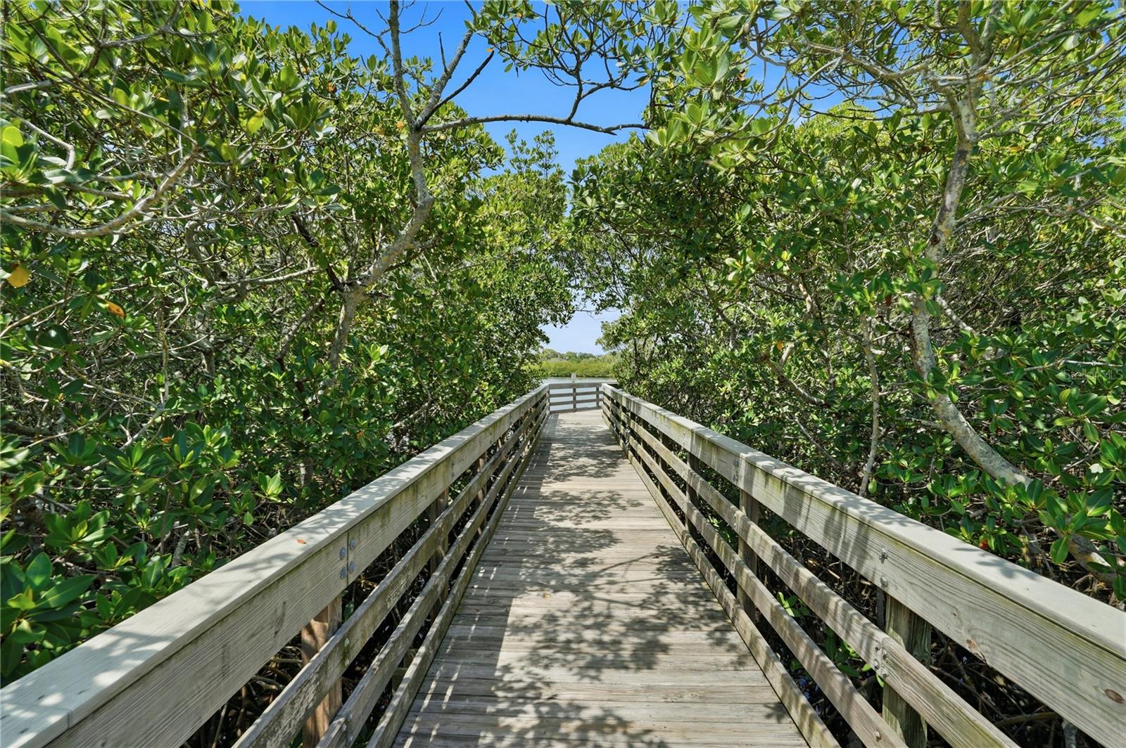 RIDGEWOOD GROVES - Residential