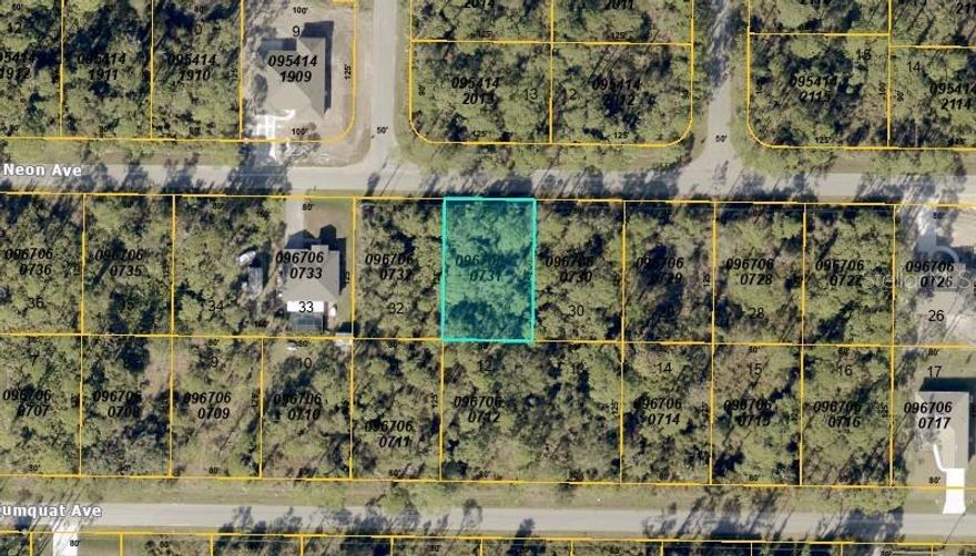 Tucked away on a peaceful street in North Port, this vacant lot is the perfect spot to build your future home. Surrounded by nature and just minutes from schools, parks, and I-75, it offers both privacy and convenience in one of Florida’s fastest-growing areas.