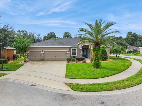 Photo of 701 Fringe Tree Court, Deland, FL 32724 (MLS # O6350392)
