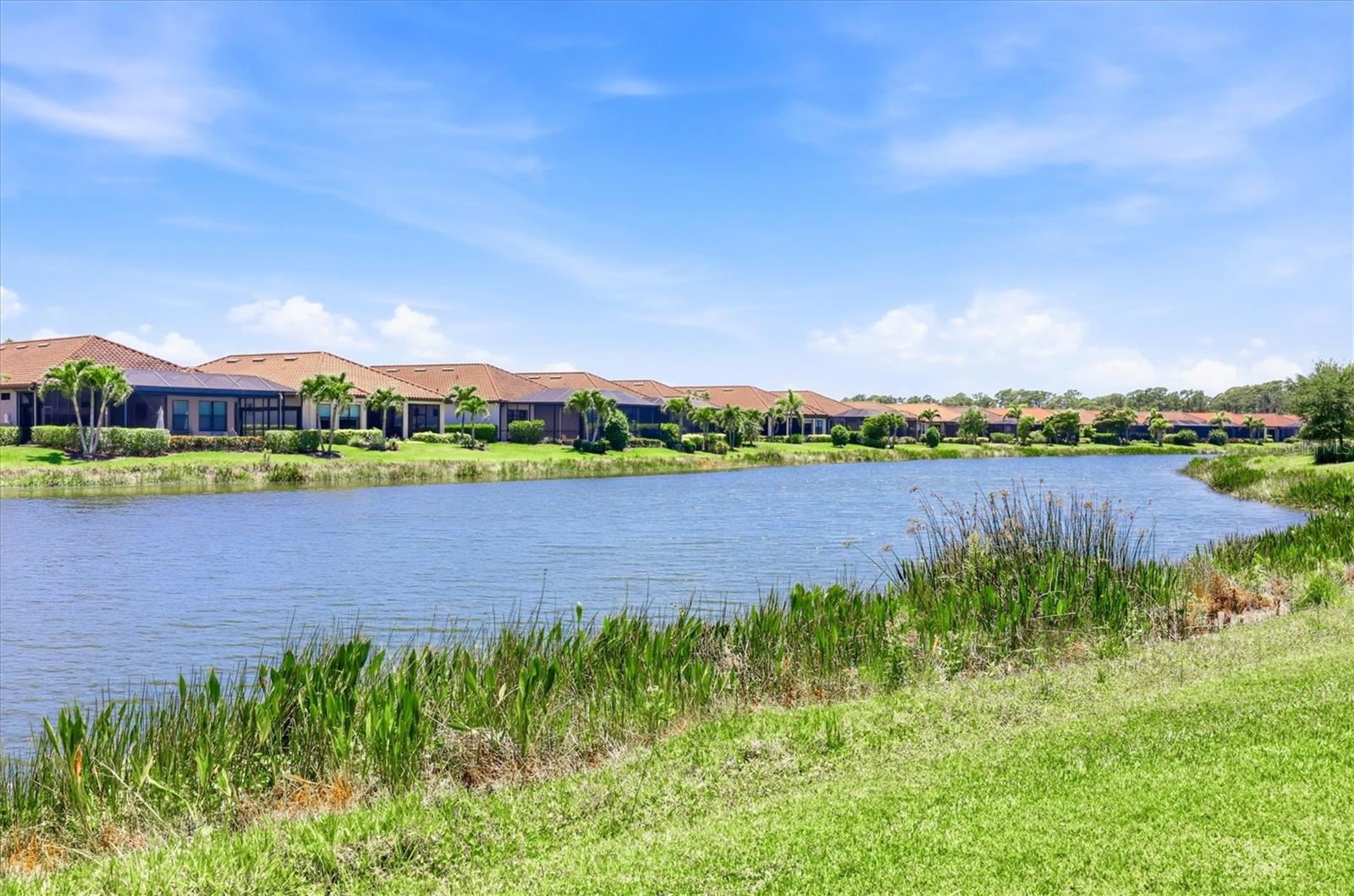 ESPLANADE ON PALMER RANCH - Residential